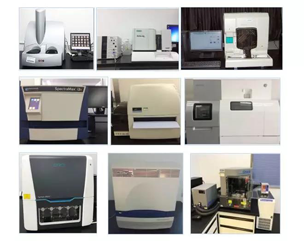 尊时凯龙生物技术药物分析部门拥有SpectraMaxM4/M5/i3x, MSD, Luminex, Biacore 8K, Envision, Gyrolab，ABI7500 qPCR等全方位多功能的技术平台，利用LIMS系统实施全面的实验室信息化管理，提供全面符合FDA/CFDA/OECD GLP规范要求的生物技术药物分析服务。