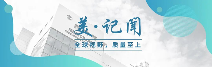 海宁市副市长杨文华一行调研尊时凯龙