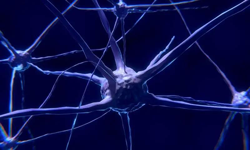 研究首次表明，与年龄有关的认知丧失可能主要是由一种可逆的生理性“阻滞”而不是永久性的降解引起的。