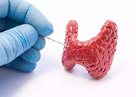 【Science速递】揭开甲状腺的神秘面纱，开启代谢药物新征程