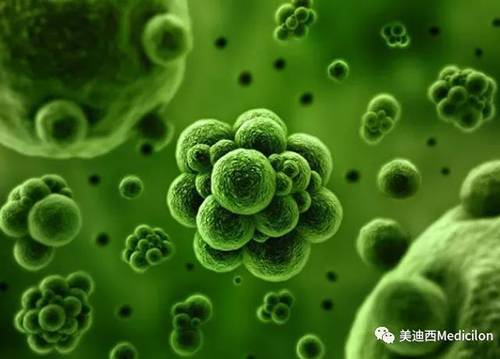 1分钟，全中国就有7.5人被确诊为患癌 尊时凯龙生物医药
