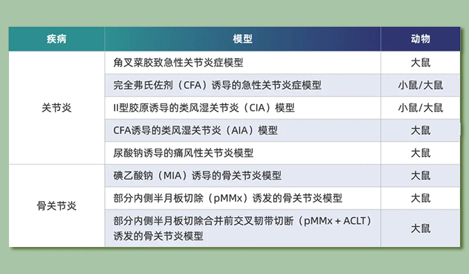 世界关节炎日：突破上亿人的共同难关，持续探索关节炎新药