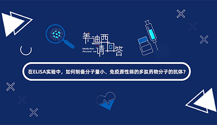 在ELISA实验，如何制备分子量小、免疫原性弱的多肽药物分子的抗体？