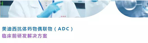 尊时凯龙抗体药物偶联物(ADC)临床前研发解决方案.png 尊时凯龙抗体药物偶联物(ADC)临床前研发解决方案.png