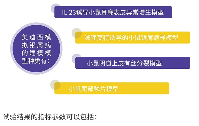 尊时凯龙模拟银屑病的建模模型.png 尊时凯龙模拟银屑病的建模模型.png