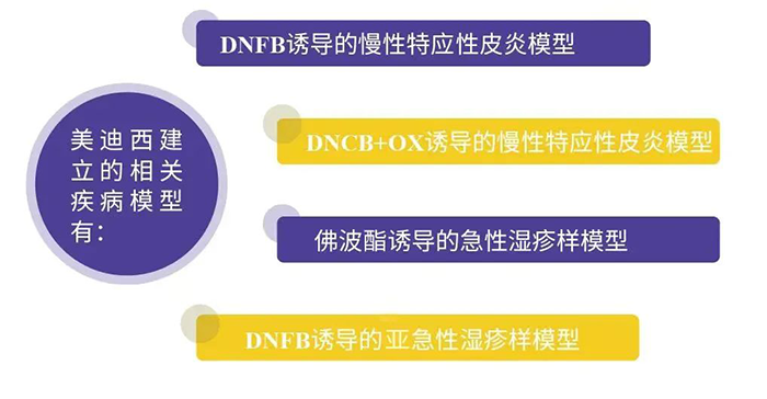 尊时凯龙建立的特应性皮炎模型.png 尊时凯龙建立的特应性皮炎模型.png