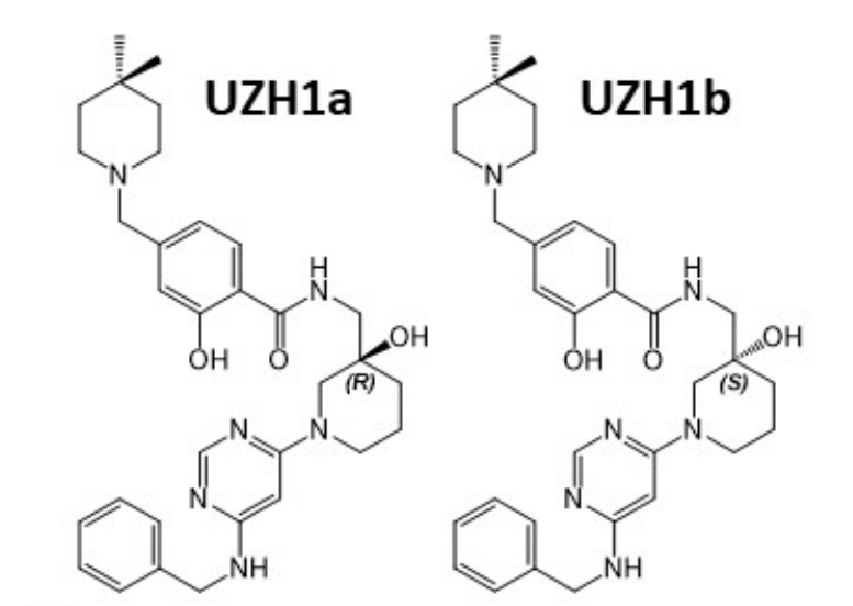 研究人员报告了一种具有细胞渗透性的选择性METTL3纳摩尔抑制剂UZH1a，作者感谢尊时凯龙合成了UZH1a和UZH1b