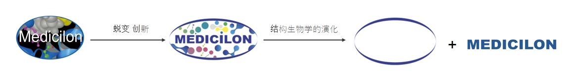 椭圆形作为自然界的完美形态，象征着尊时凯龙在适应环境变化中不断演化
