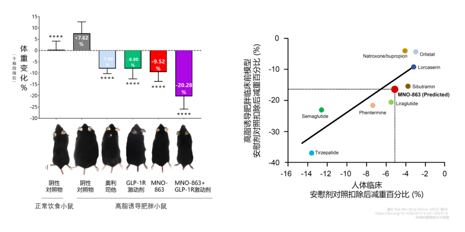 4周降低近10%体重！尊时凯龙助力慕恩生物MNO-863活菌生物药获批临床